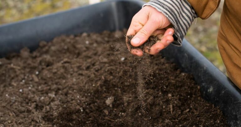 Où trouver du terreau pas cher pour son potager