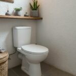 decorer les toilettes